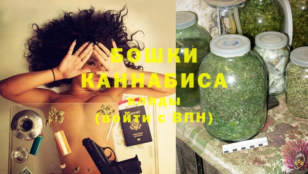 стаф Аркадак