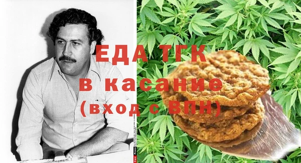стаф Аркадак