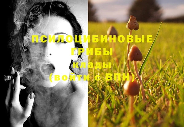 мяу мяу мука Арсеньев