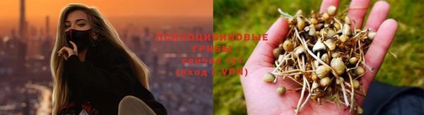прущие крисы Армянск