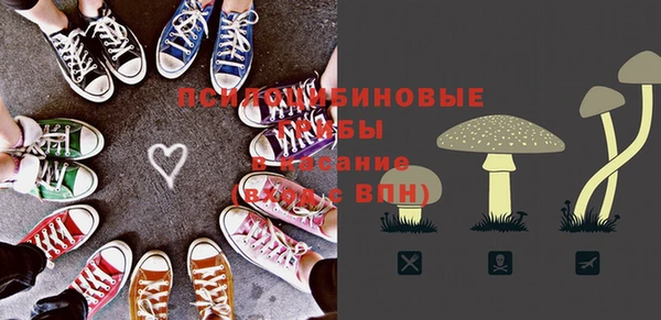 прущие крисы Армянск