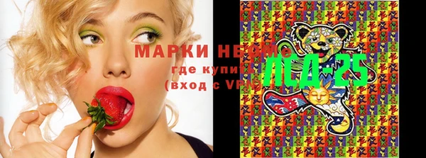 стаф Аркадак