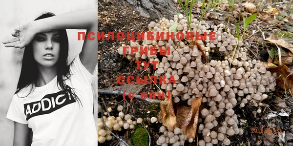 мяу мяу мука Арсеньев