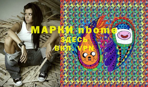 стаф Аркадак