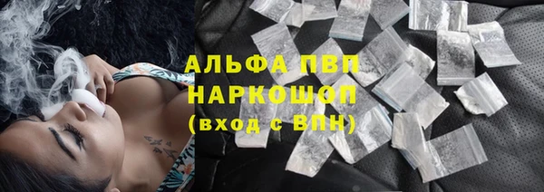 мяу мяу мука Арсеньев