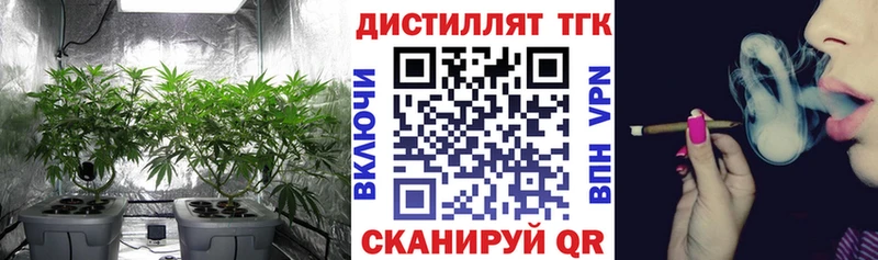 ТГК концентрат Рыбное